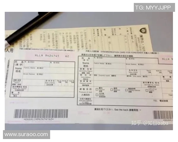 日本阿的免费下载资源与使用指南全解析